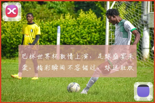 巴林世界杯激情上演，足球盛宴来袭，精彩瞬间不容错过，球迷狂欢盛宴，尽在眼前