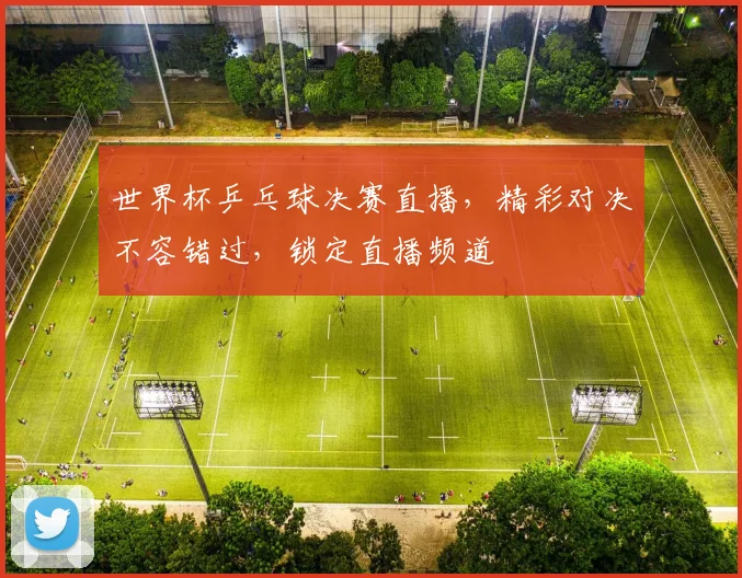 世界杯乒乓球决赛直播，精彩对决不容错过，锁定直播频道