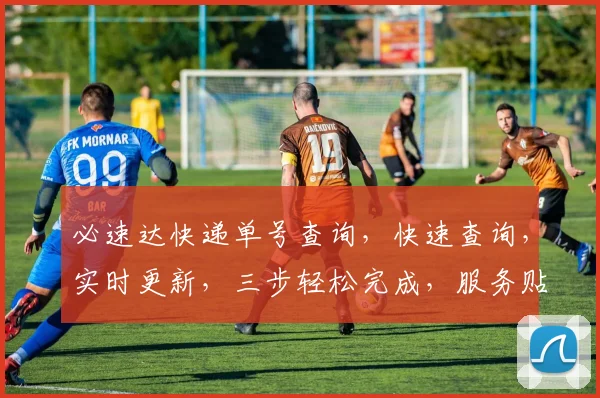 必速达快递单号查询，快速查询，实时更新，三步轻松完成，服务贴心。