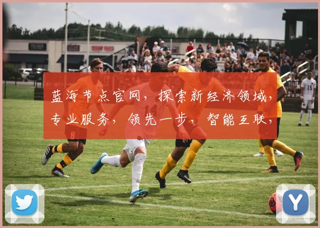 蓝海节点官网，探索新经济领域，专业服务，领先一步，智能互联，共赢未来，三大优势，必看首选