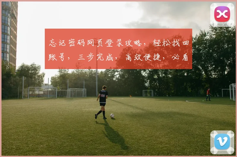 忘记密码网页登录攻略，轻松找回账号，三步完成，高效便捷，必看